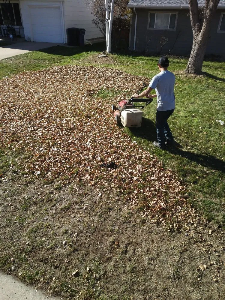 Affordable yard cleanup service in Lafayette, CO - ES & D Colorado Landscaping