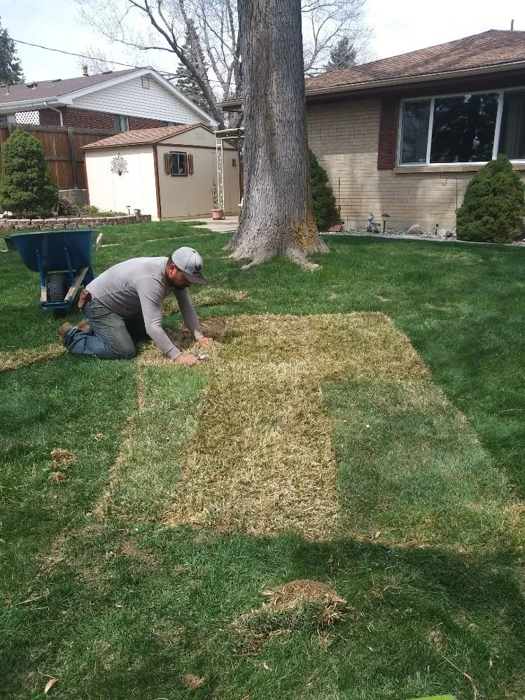 Local lawn mowing service in Lafayette, CO by ES & D Colorado Landscaping