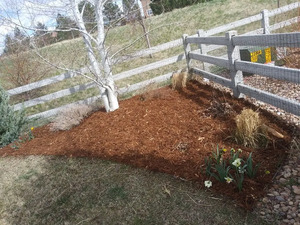 Reliable landscape installation experts serving Lafayette, CO - ES & D Colorado Landscaping