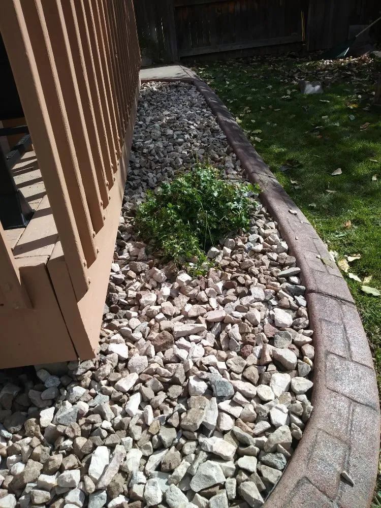 Affordable yard maintenance in Lafayette, CO - ES & D Colorado Landscaping