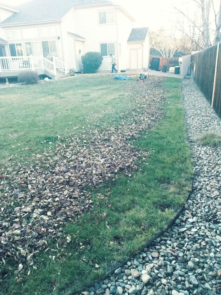 Professional garden landscaping for outdoor upgrades in Lafayette, CO by ES & D Colorado Landscaping