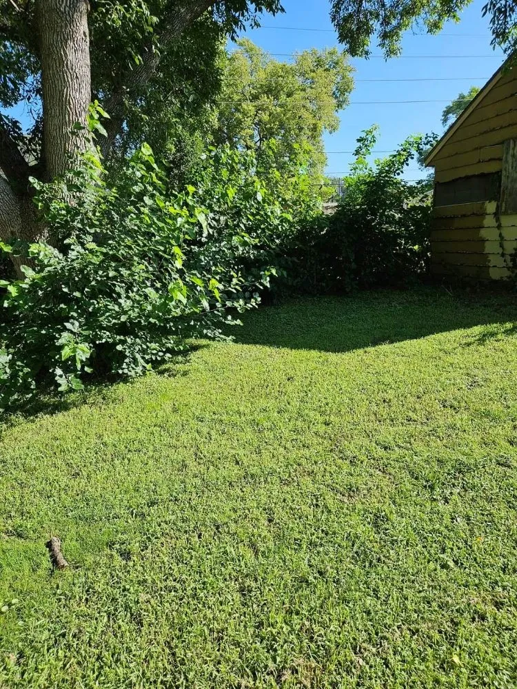 Reliable yard maintenance experts serving Sioux City, IA - ES Contracting