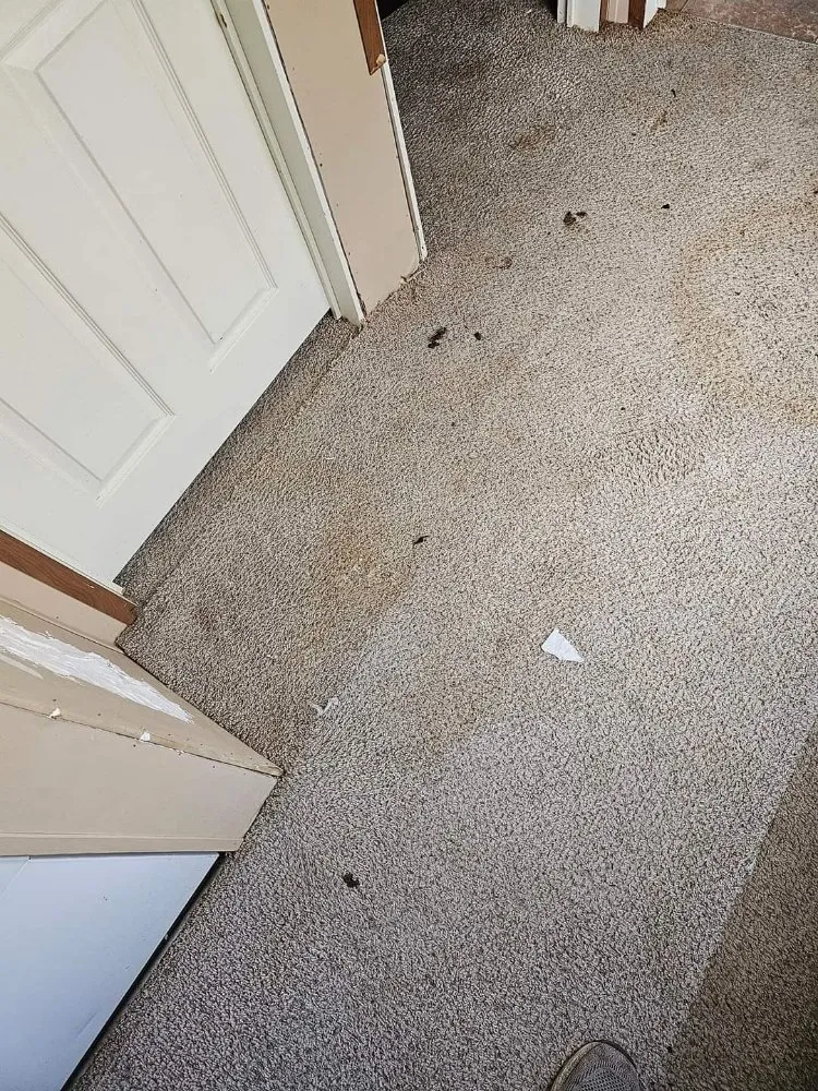 Trusted yard maintenance in Sioux City, IA - ES Contracting