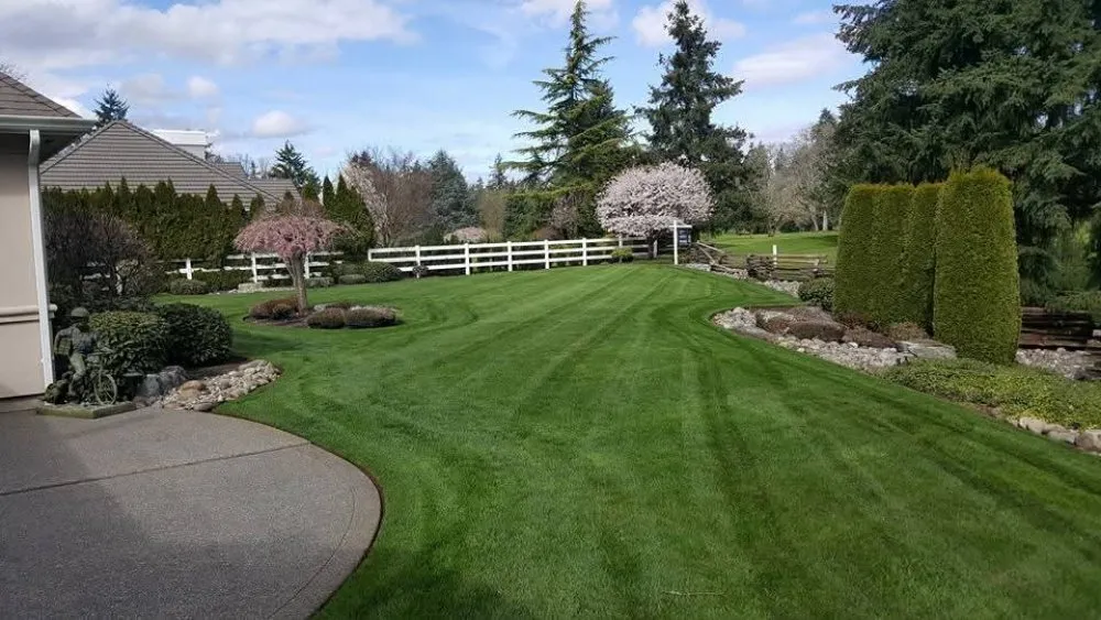 Affordable lawn mowing service with custom design across Lacey, WA - ES Land Services