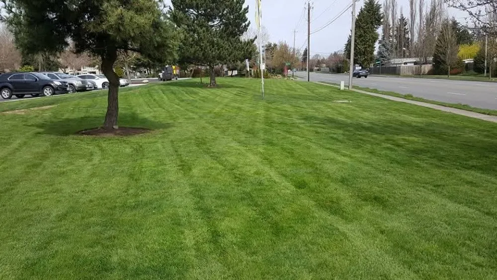 Professional residential landscaping for residential properties across Lacey, WA - ES Land Services