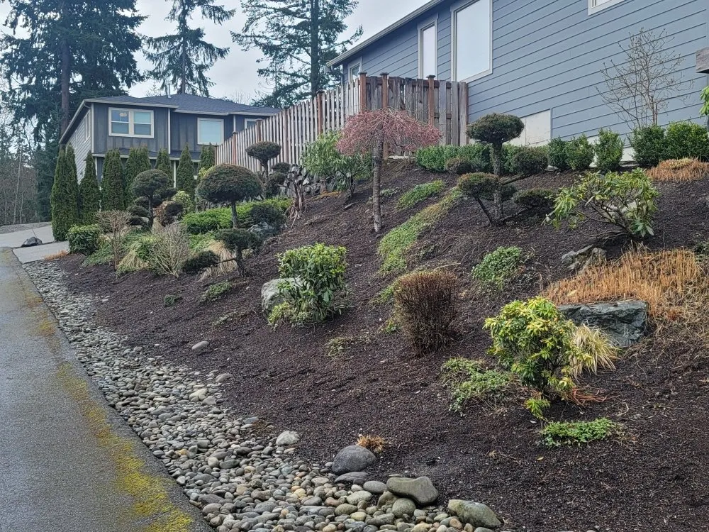 Affordable residential landscaping experts serving Lacey, WA - ES Land Services