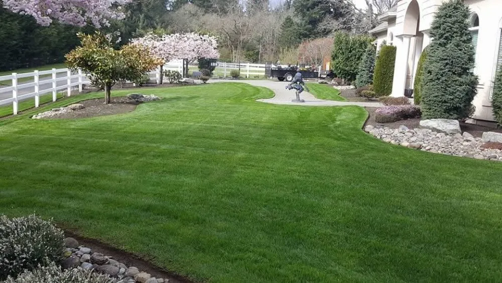 Affordable landscaping services for year-round maintenance across Lacey, WA - ES Land Services