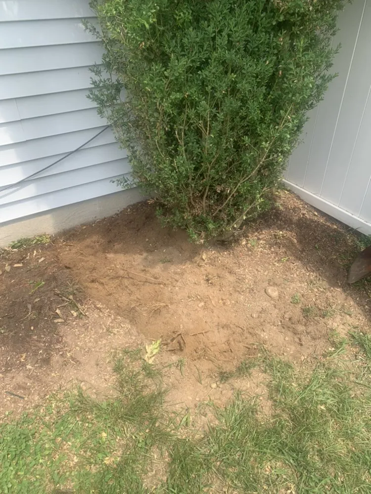 Top-rated yard maintenance experts serving Forest Heights, MD - E’s Landscaping & Power Washing