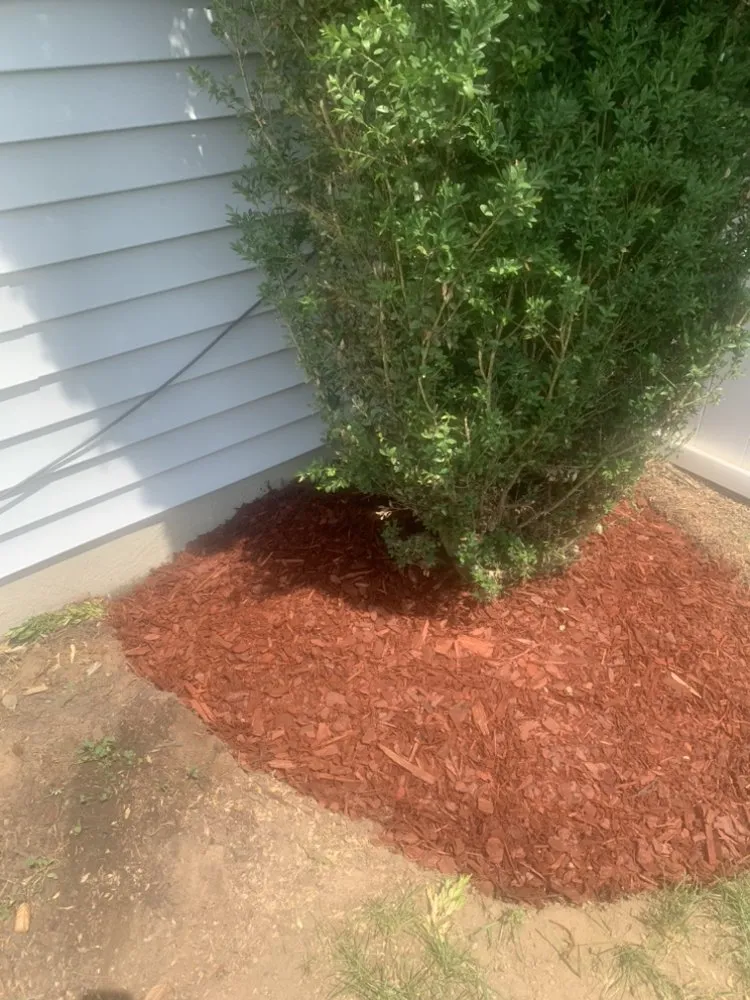 Affordable lawn care service in Forest Heights, MD - E’s Landscaping & Power Washing