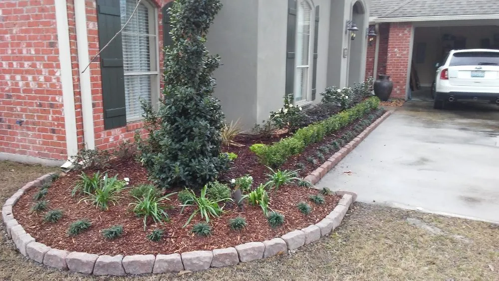 Expert yard cleanup service for year-round maintenance in Denham Springs, LA by E's Landscaping