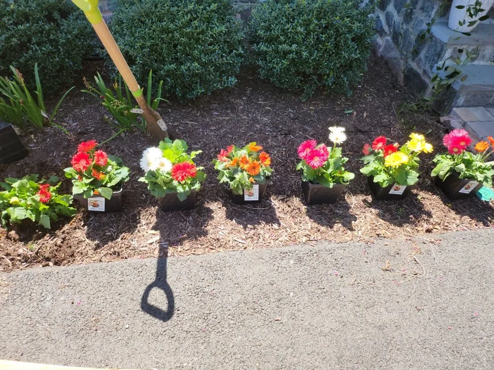 Top-rated yard cleanup service in Rockville, MD by E.S Landscaping
