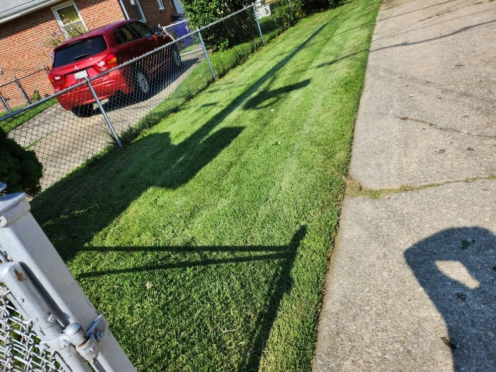 Professional residential landscaping experts serving Rockville, MD - E.S Landscaping