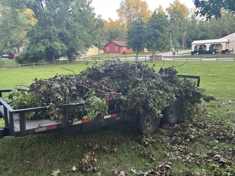 Custom lawn care service for outdoor upgrades across Carbondale, IL - E's Lawn Care