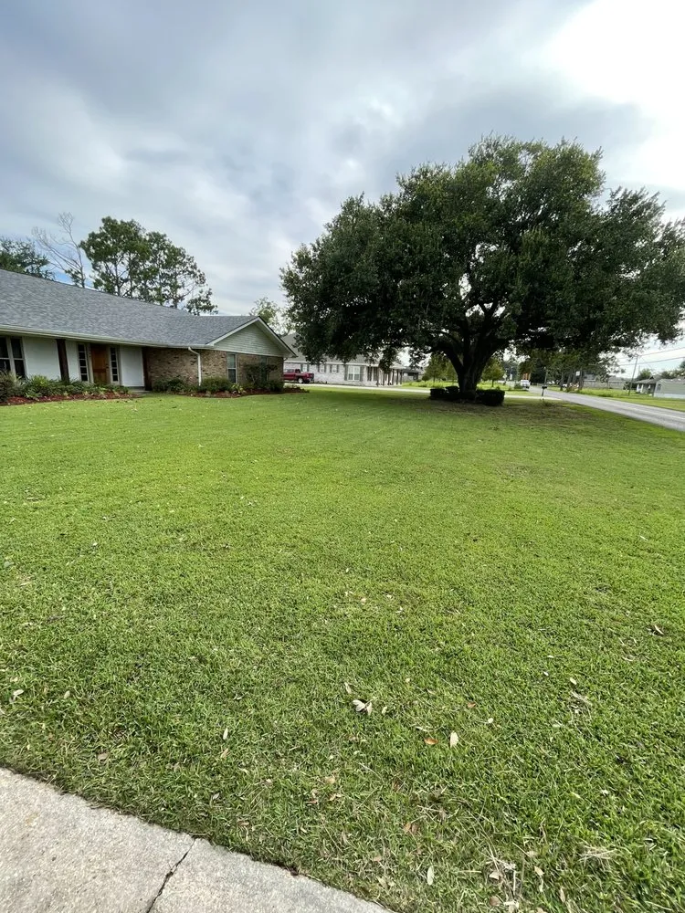 Top-rated lawn care service for residential properties across Gramercy, LA - Es Lawn Care