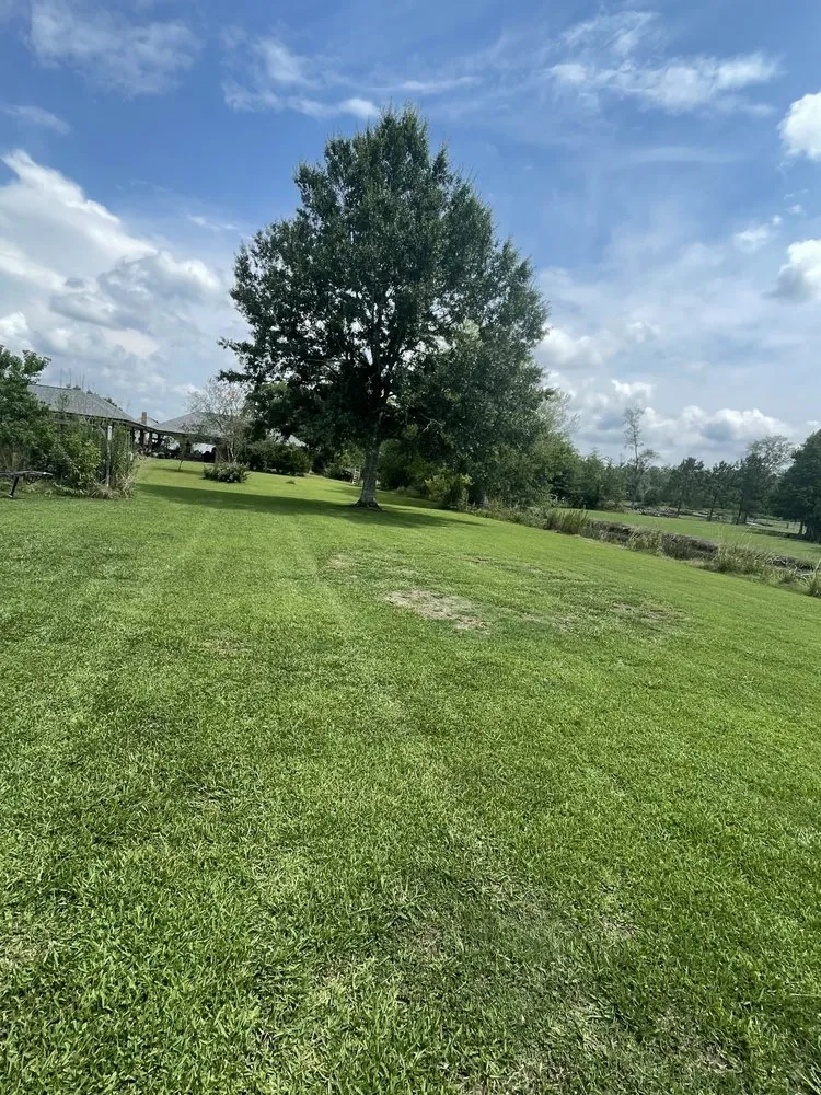Expert yard maintenance experts serving Gramercy, LA - Es Lawn Care
