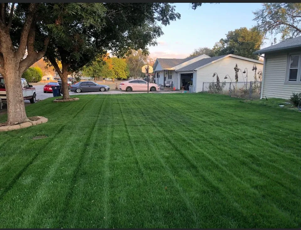 Trusted landscaping services in Raleigh, NC - ES Lawn Care
