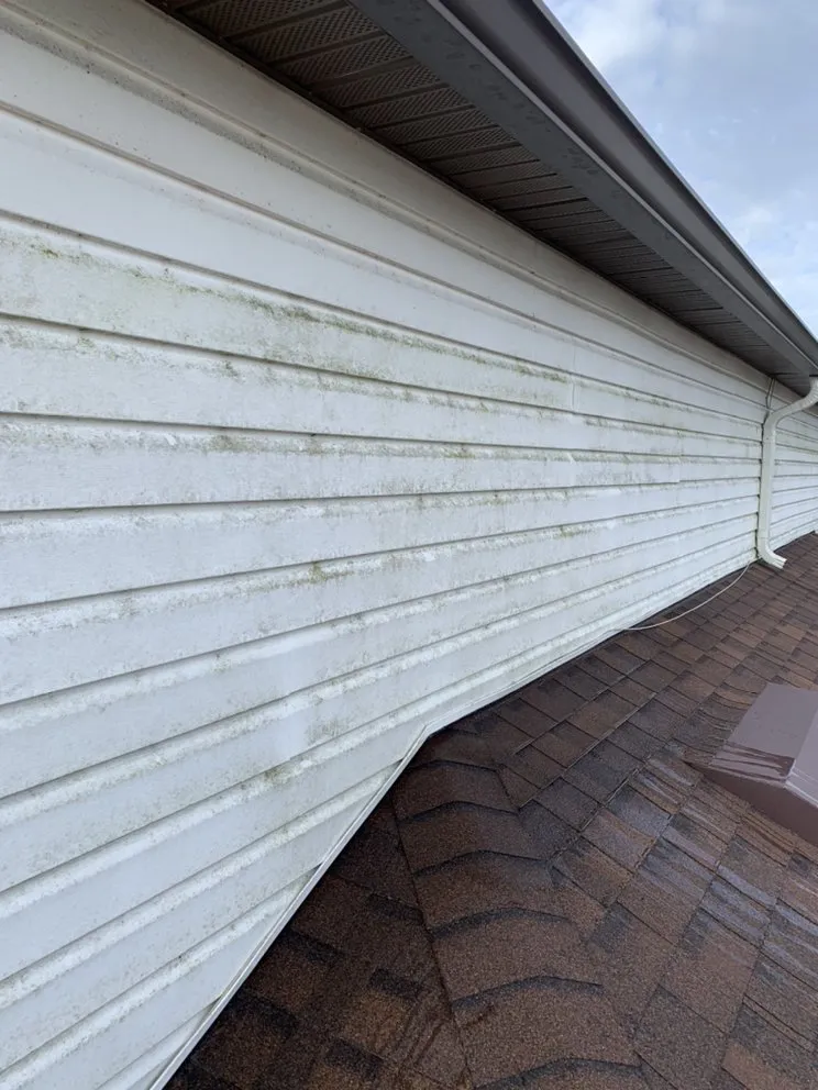 Professional residential landscaping in Kissimmee, FL - E’s LawnCare & Pressure Wash