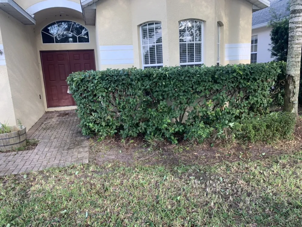 Professional garden landscaping in Kissimmee, FL by E’s LawnCare & Pressure Wash