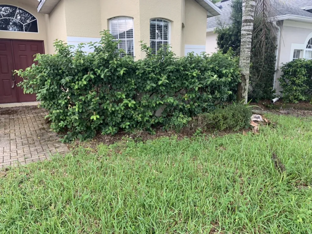 Affordable outdoor landscaping in Kissimmee, FL - E’s LawnCare & Pressure Wash