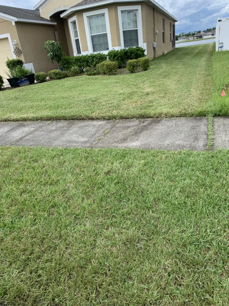 Trusted yard cleanup service in Kissimmee, FL - E’s LawnCare & Pressure Wash