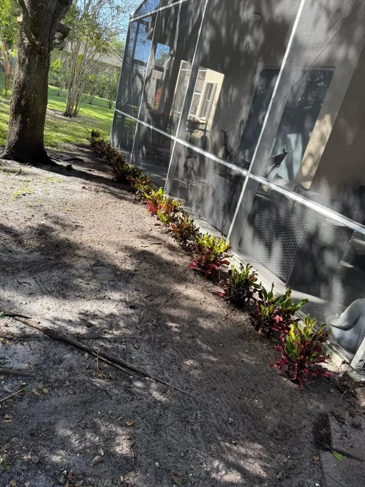 Professional outdoor landscaping experts serving Southwest Ranches, FL - E&S Lawncare Services