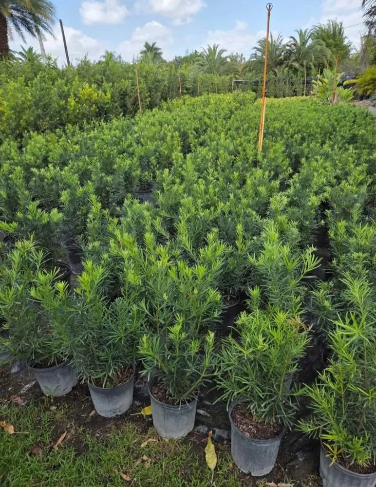 Top-rated landscape installation for homes across Southwest Ranches, FL - E&S Lawncare Services