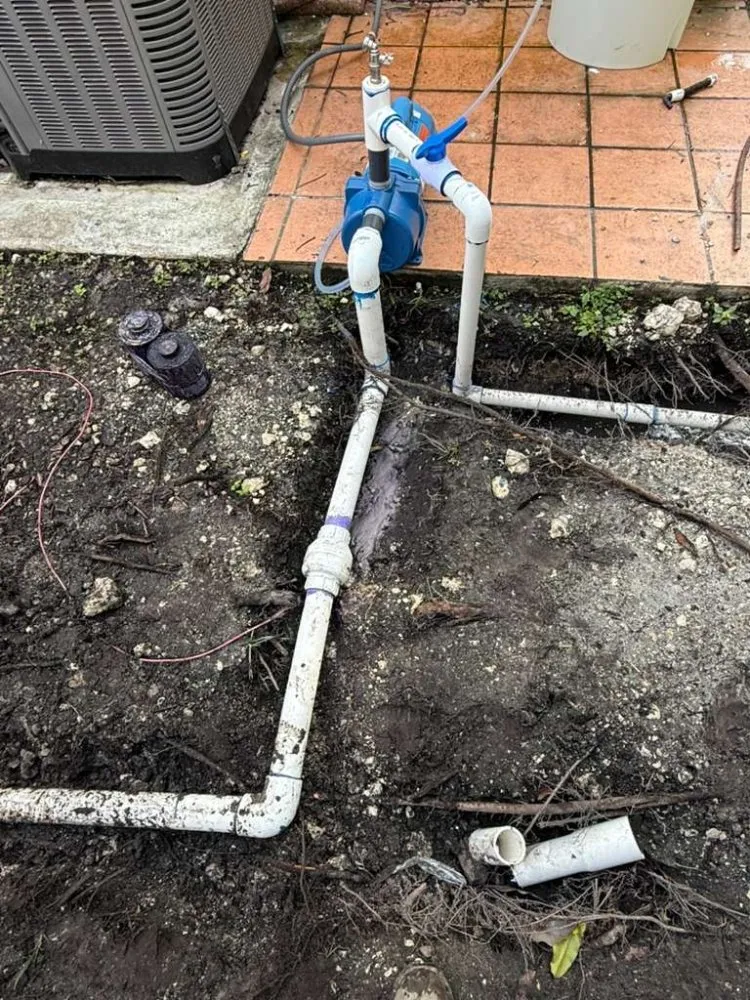 Top-rated yard maintenance experts serving Southwest Ranches, FL - E&S Lawncare Services