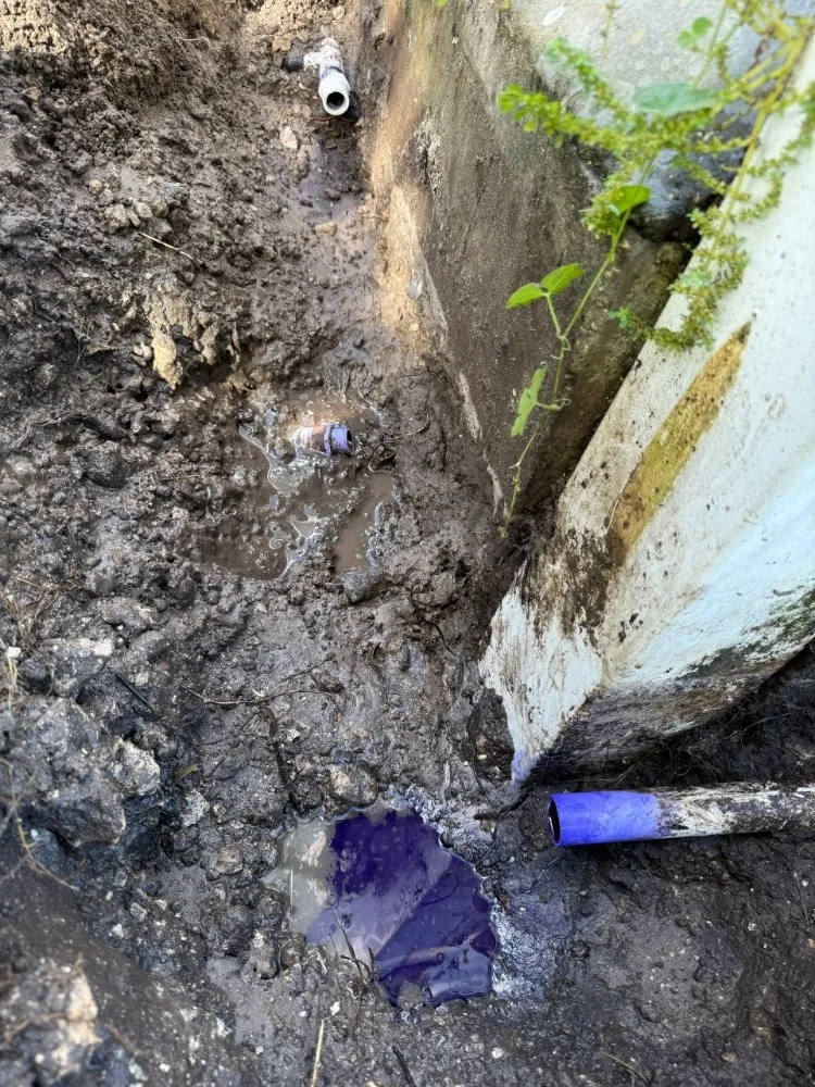 Professional outdoor landscaping for beautiful yards in Southwest Ranches, FL by E&S Lawncare Services