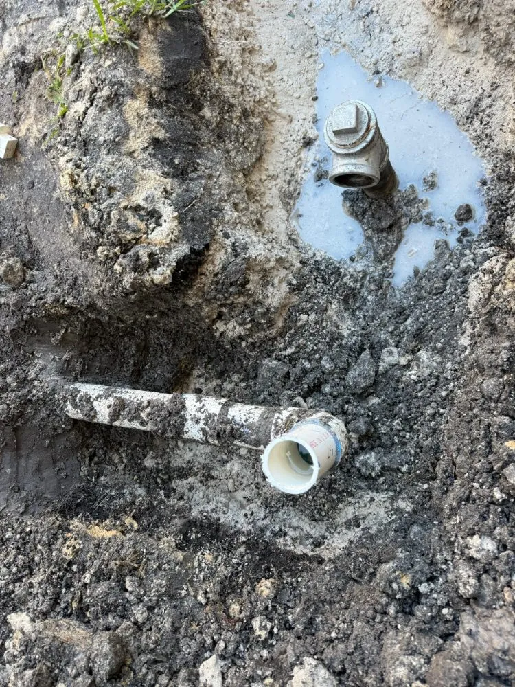 Top-rated outdoor landscaping for outdoor upgrades in Southwest Ranches, FL by E&S Lawncare Services