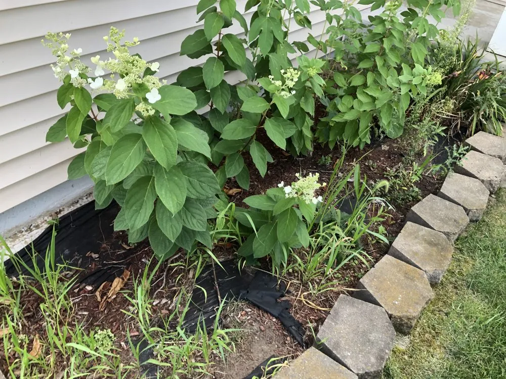 Trusted outdoor landscaping for beautiful yards across Apple Valley, MN - E’S Outdoor Services