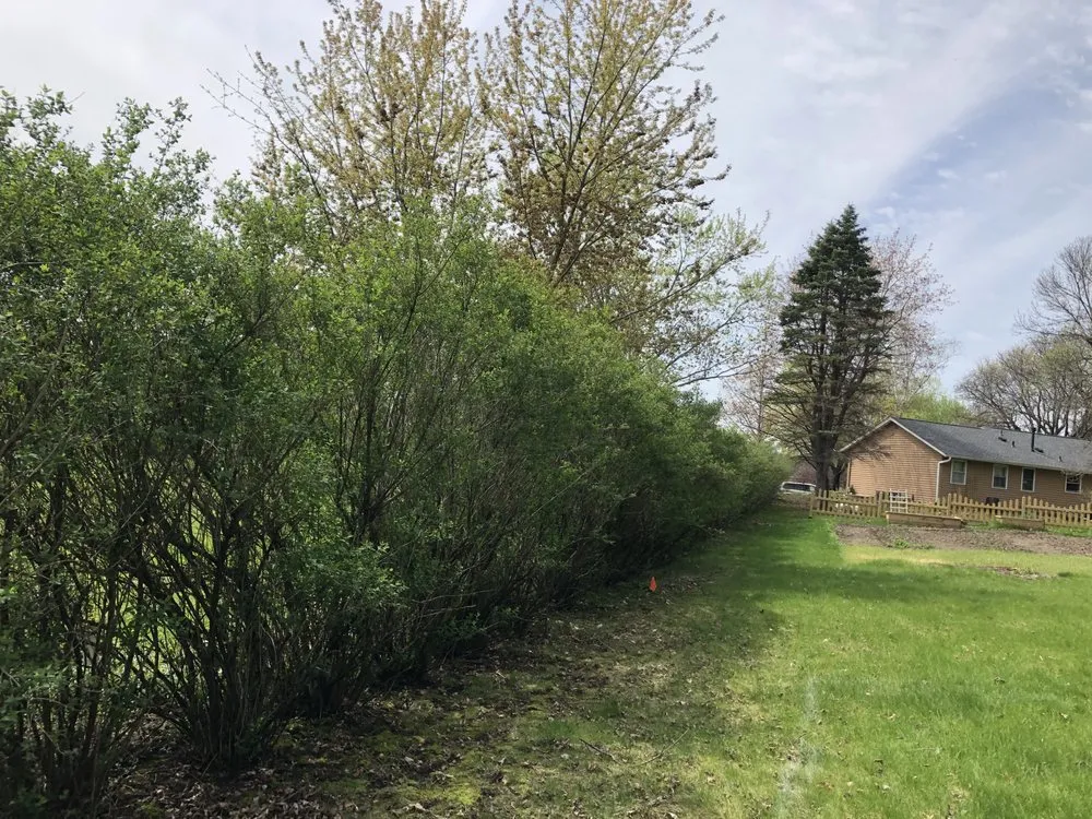 Local garden landscaping in Apple Valley, MN by E’S Outdoor Services