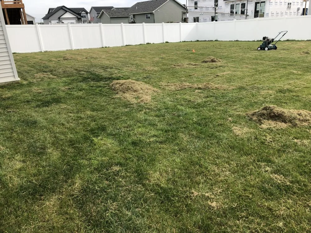 Affordable landscape installation experts serving Apple Valley, MN - E’S Outdoor Services