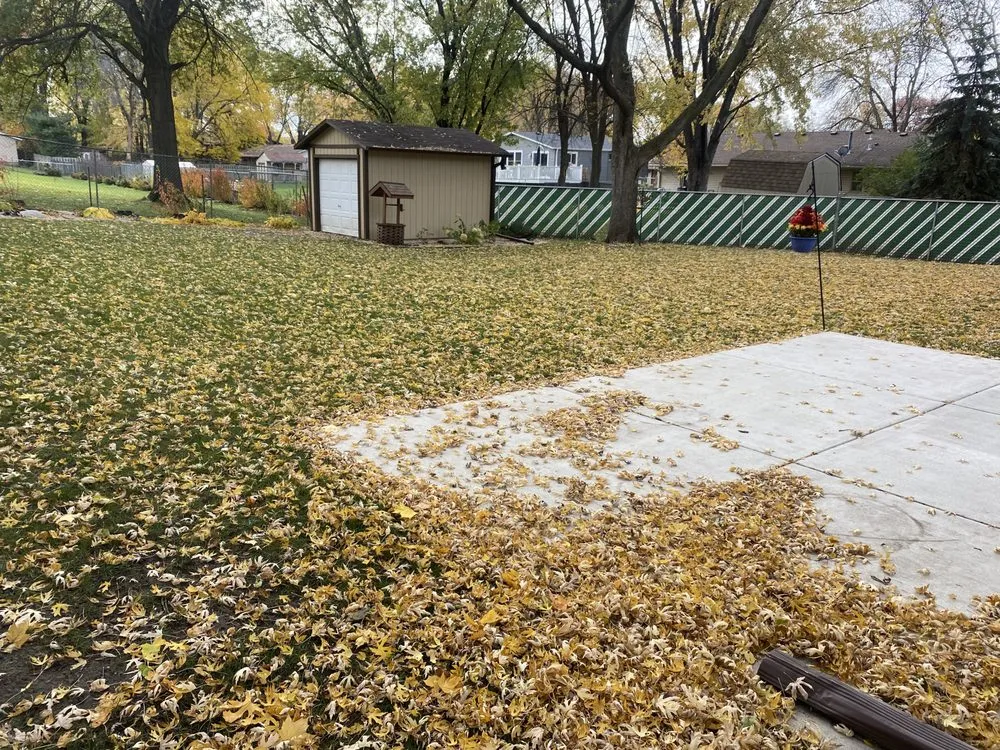 Affordable yard cleanup service for beautiful yards across Apple Valley, MN - E’S Outdoor Services