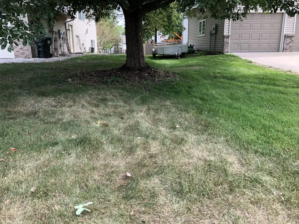 Reliable yard cleanup service experts serving Apple Valley, MN - E’S Outdoor Services