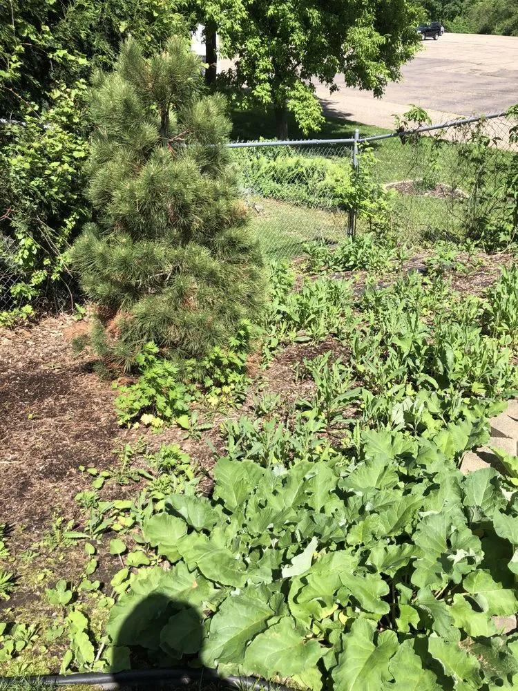 Local residential landscaping in Apple Valley, MN - E’S Outdoor Services