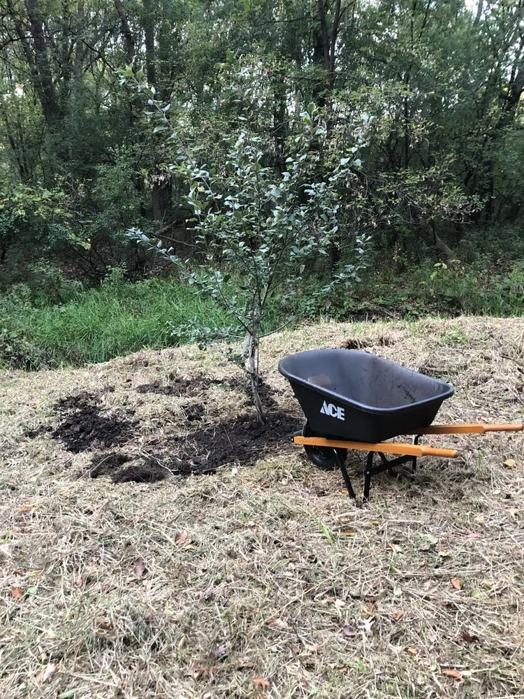 Custom lawn care service in Apple Valley, MN by E’S Outdoor Services