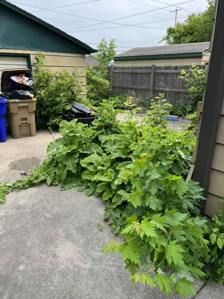 Local landscape design near you across Pleasant Prairie, WI - E’s Outdoor Services