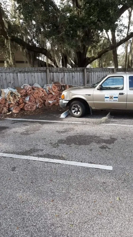 Top-rated garden landscaping experts serving Wesley Chapel, FL - ES Services and Labor