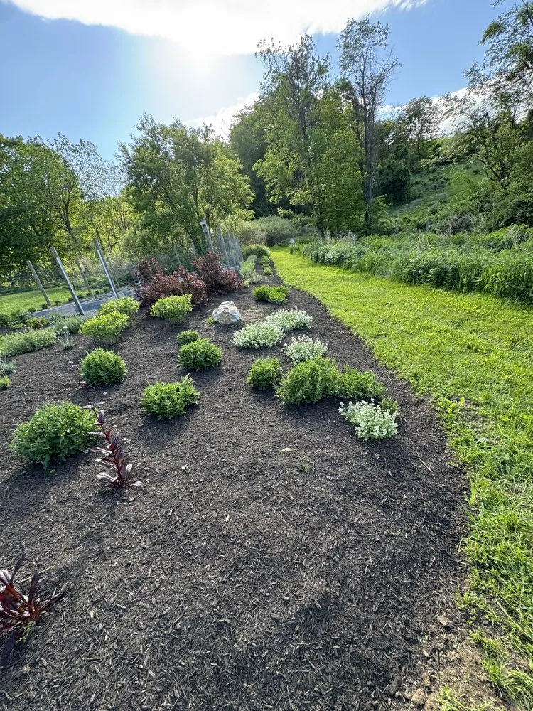 Top-rated landscaping services experts serving Danbury, CT - E&S Tree Service And Landscape