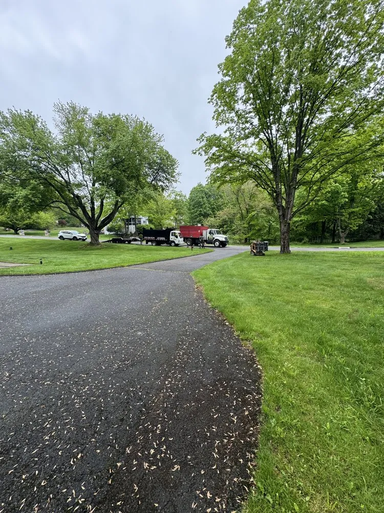 Affordable yard cleanup service for homes in Danbury, CT by E&S Tree Service And Landscape