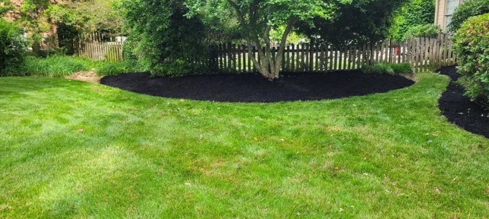 Custom yard maintenance experts serving Greer, SC - ESC Landscaping