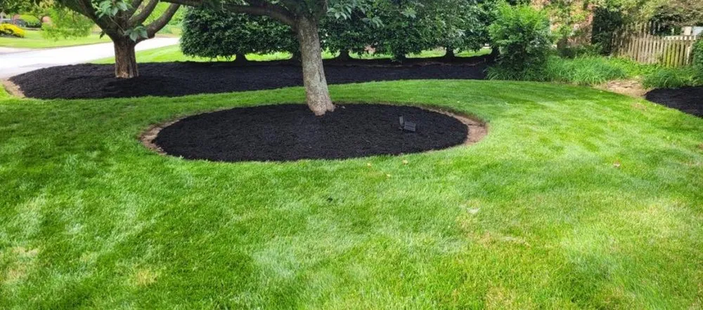 Trusted yard cleanup service in Greer, SC - ESC Landscaping