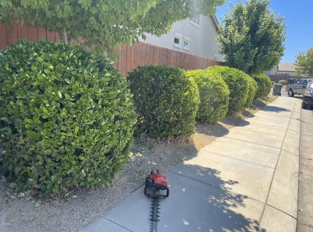 Trusted landscaping services with custom design across Ripon, CA - ESC Lawn Care