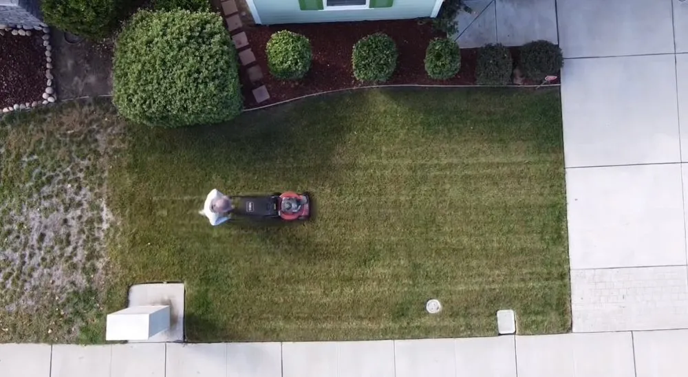 Top-rated yard maintenance in Ripon, CA by ESC Lawn Care