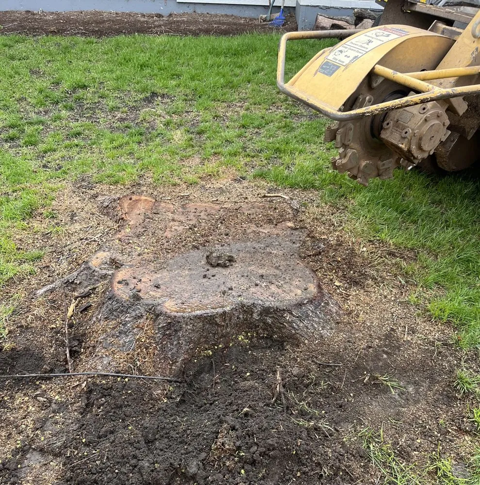 Expert residential landscaping with custom design in Aurora, IL by ESC Tree Service & Landscaping