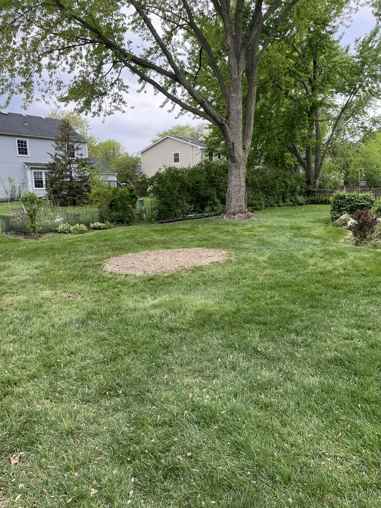 Professional landscape installation experts serving Aurora, IL - ESC Tree Service & Landscaping