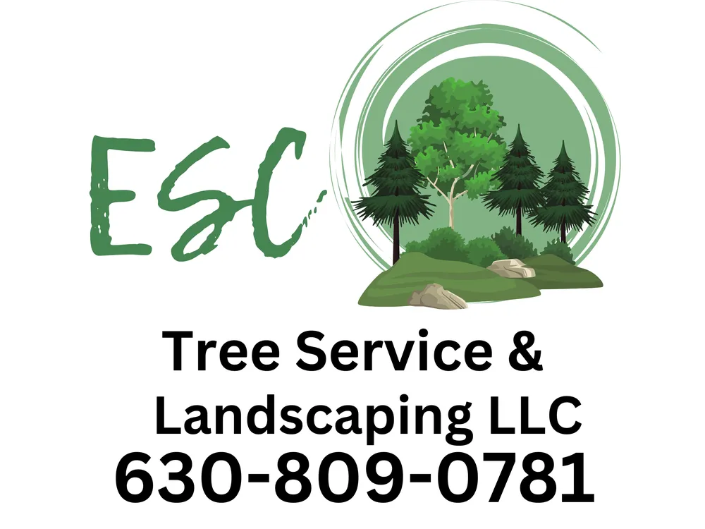 Affordable lawn mowing service with custom design in Aurora, IL by ESC Tree Service & Landscaping