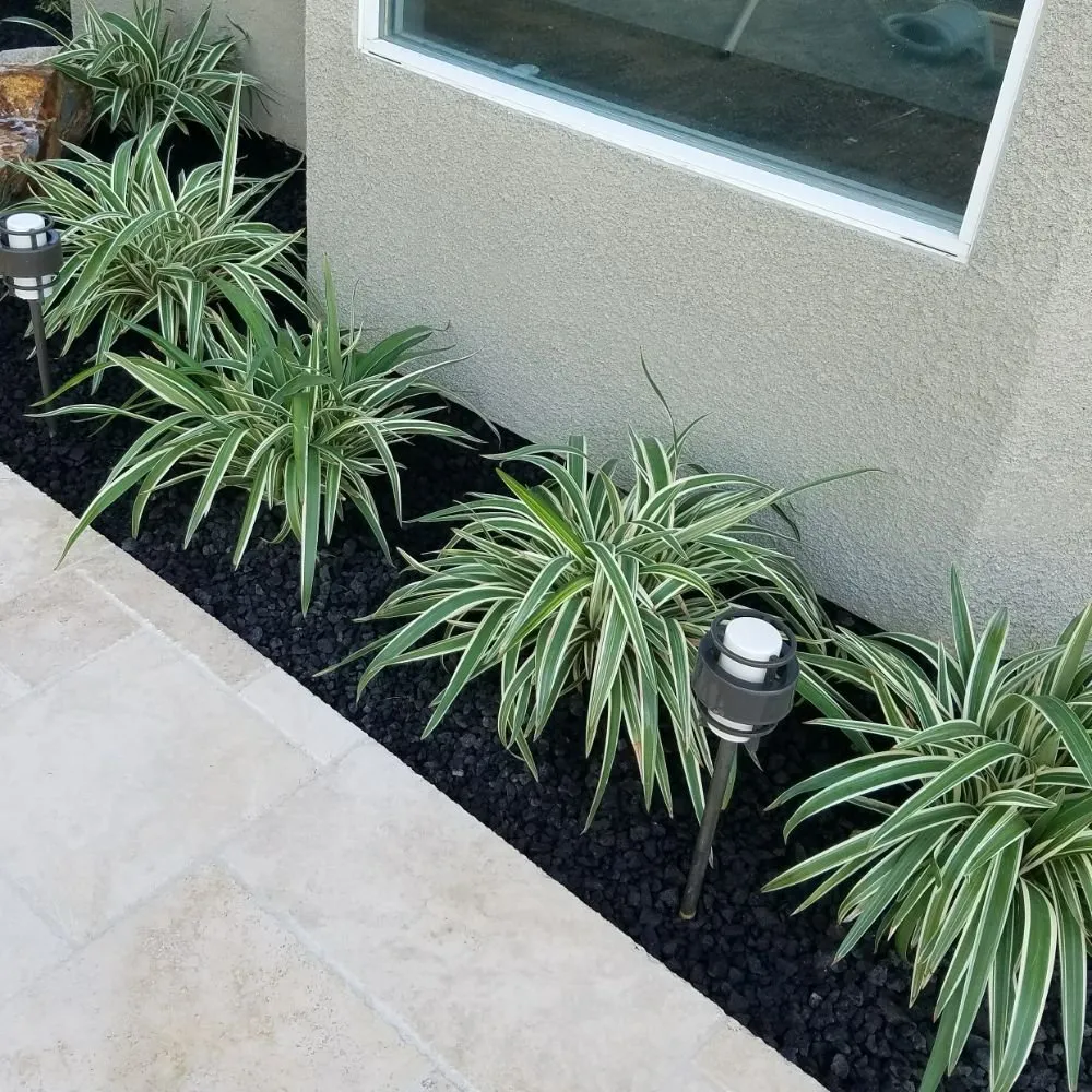 Local residential landscaping for beautiful yards across Cathedral City, CA - Escala Scapes