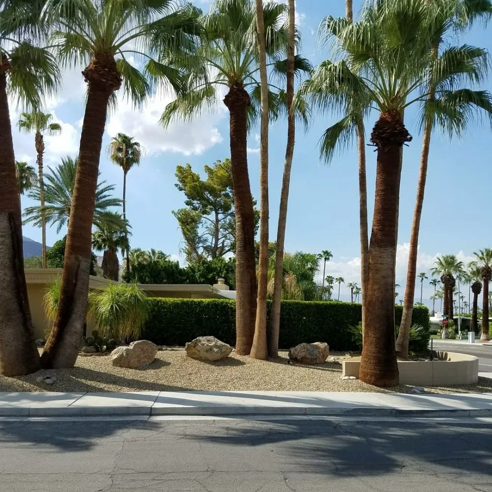 Custom lawn mowing service in Cathedral City, CA - Escala Scapes