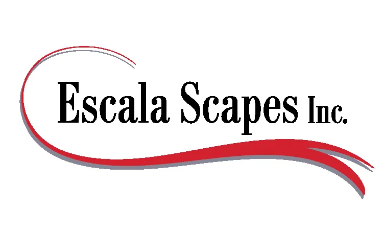Trusted residential landscaping in Encinitas, CA by Escala Scapes